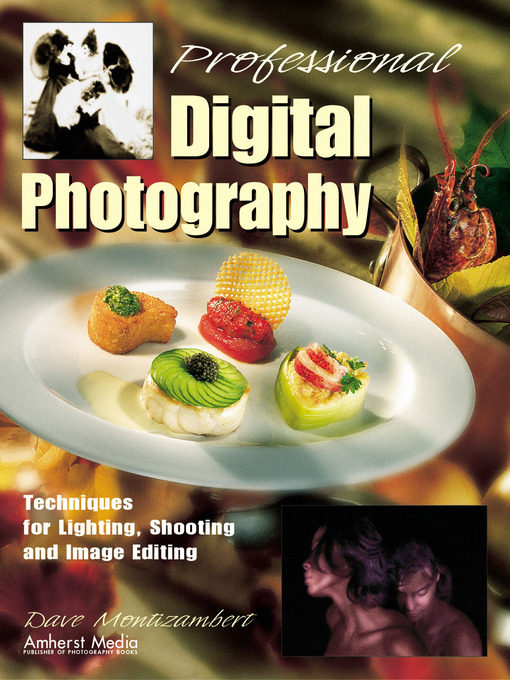 Title details for Professional Digital Photography by Dave Montizambert - Wait list